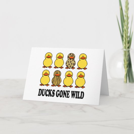 Ducks Gone Wild Karte (Vorderseite)
