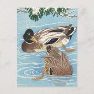 Ducks im Qater von Ohara Koson Postkarte