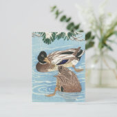 Ducks im Qater von Ohara Koson Postkarte (Stehend Vorderseite)