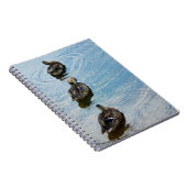 Ducks in einem Row-Notebook Notizblock (Rechte Seite)
