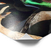 Ducks in einer Menschenmenge Fotodruck (Ecke)