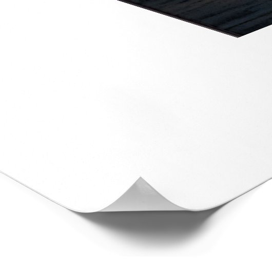 Ducks in Flight Poster (Ecke)