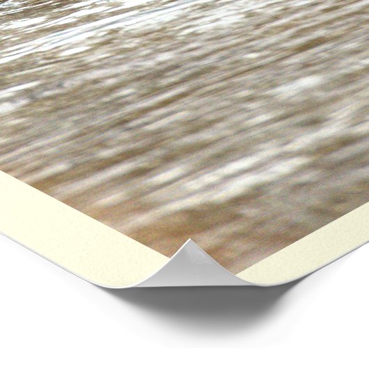 Ducks in Icy Creek Poster (Ecke)