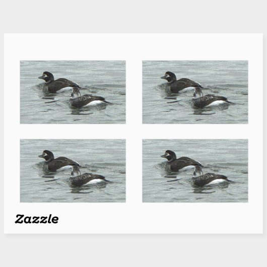 Ducks in Ocean Photo Stickers (Blatt)