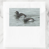 Ducks in Ocean Photo Stickers (Tasche)