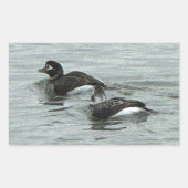 Ducks in Ocean Photo Stickers (Vorderseite)
