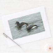 Ducks in Ocean Photo Stickers (Umschlag)