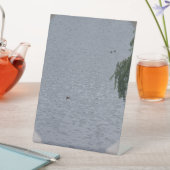 Ducks In Pond Photo Sockelschild (In Situ)