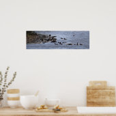 Ducks in Water Poster (Küche)