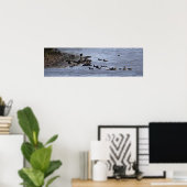 Ducks in Water Poster (Heimbüro)