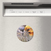 DUCKS MAGNET (In Situ (Geschirrspüler))