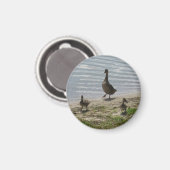 Ducks Magnet (Vorderseite/Rückseite)