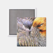 DUCKS MAGNET (Vorderseite/Rückseite)