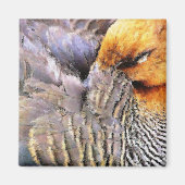 DUCKS MAGNET (Vorne)