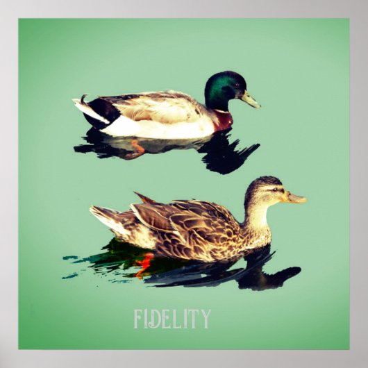 Ducks mallards essbare Zuckerguss Runden Poster (Vorne)