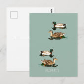 Ducks mallards essbare Zuckerguss Runden Postkarte (Vorne/Hinten)