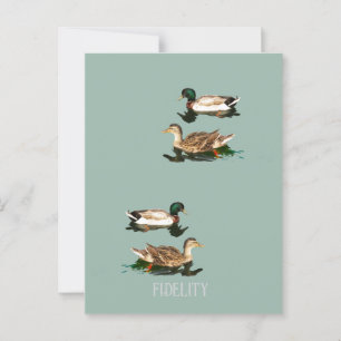 Ducks mallards essbare Zuckerguss Runden Postkarte