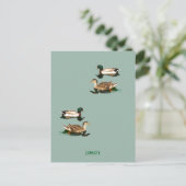 Ducks mallards feiertagspostkarte (Stehend Vorderseite)