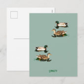Ducks mallards feiertagspostkarte (Vorne/Hinten)
