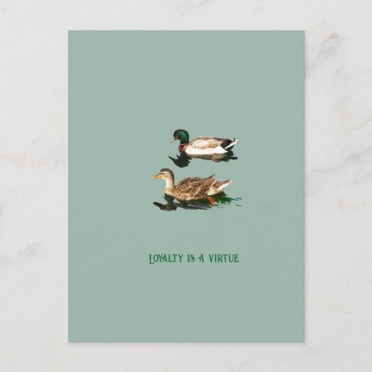 Ducks mallards feiertagspostkarte (Vorderseite)