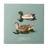 Ducks mallards fliese (Vorderseite)