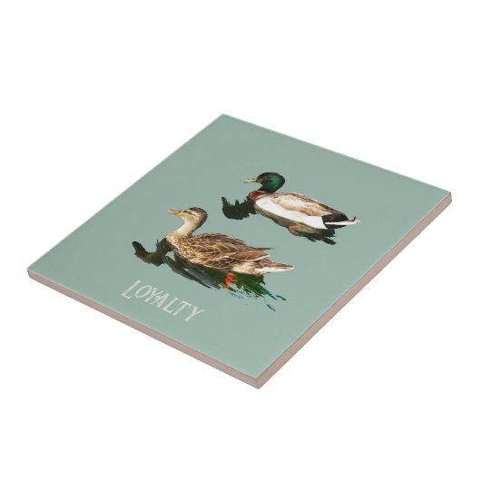Ducks mallards fliese (Seite)