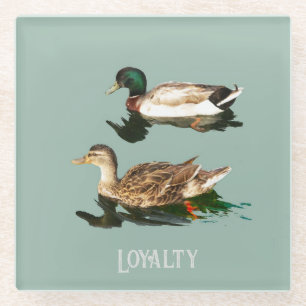 Ducks mallards glasuntersetzer