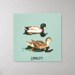 Ducks mallards leinwanddruck