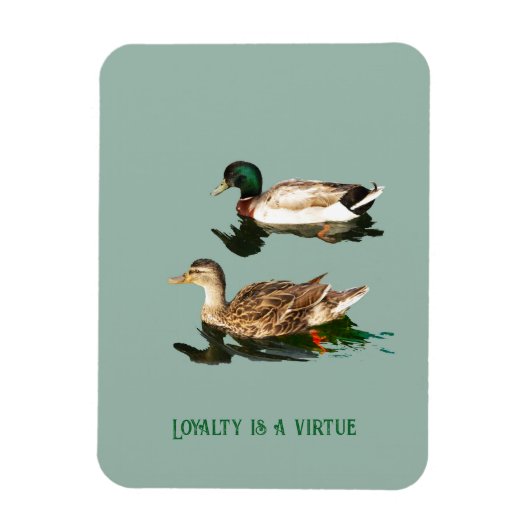 Ducks mallards magnet (Vertikal)