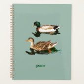 Ducks mallards planer (Vorderseite)