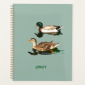 Ducks mallards planer (Vorderseite)