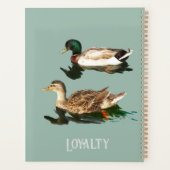 Ducks mallards planer (Rückseite)