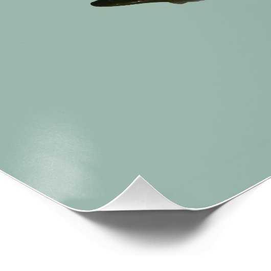 Ducks mallards poster (Ecke)