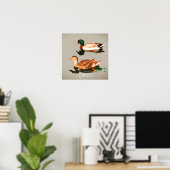 Ducks mallards poster (Heimbüro)