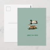Ducks mallards postkarte (Vorne/Hinten)