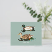 Ducks mallards postkarte (Stehend Vorderseite)