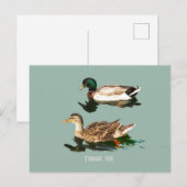 Ducks mallards postkarte (Vorne/Hinten)