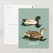 Ducks mallards postkarte (Vorne/Hinten)