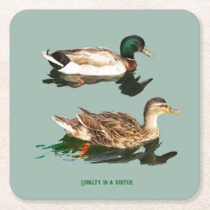 Ducks mallards rechteckiger pappuntersetzer