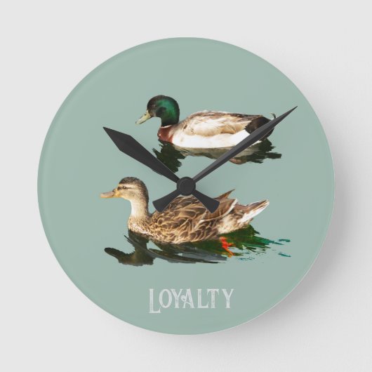 Ducks mallards runde wanduhr (Vorderseite)