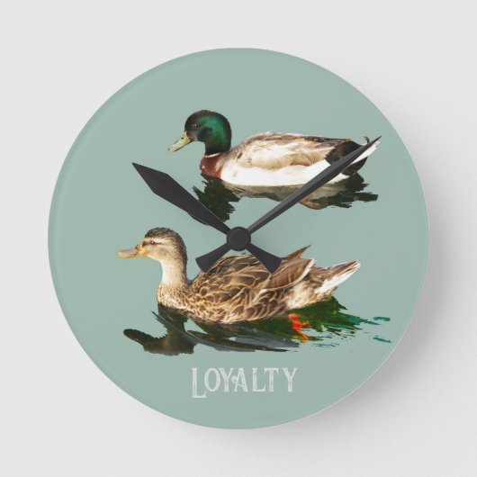 Ducks mallards runde wanduhr (Vorderseite)