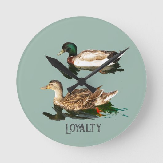 Ducks mallards runde wanduhr (Vorderseite)