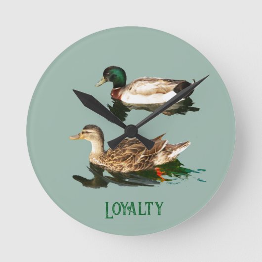 Ducks mallards runde wanduhr (Vorderseite)