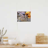 DUCKS POSTER (Küche)
