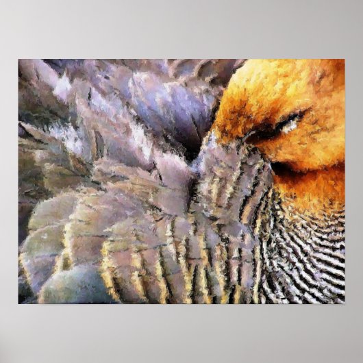 DUCKS POSTER (Vorne)