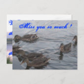 DUCKS POSTKARTE (Vorne/Hinten)