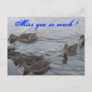 DUCKS POSTKARTE