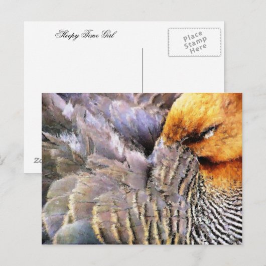 DUCKS POSTKARTE (Vorne/Hinten)