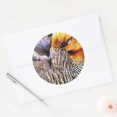 DUCKS RUNDER AUFKLEBER (Umschlag)