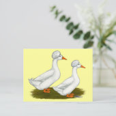 Ducks: White Crested Postkarte (Stehend Vorderseite)